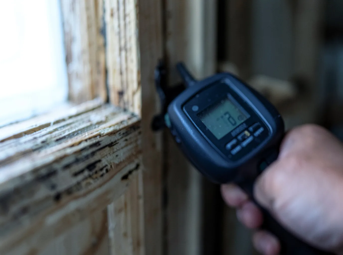 Moisture Inspection And Documentation in Gonvick, MN